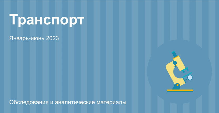 Сведения о деятельности автомобильного транспорта в Алтайском крае. Январь-июнь 2023 года